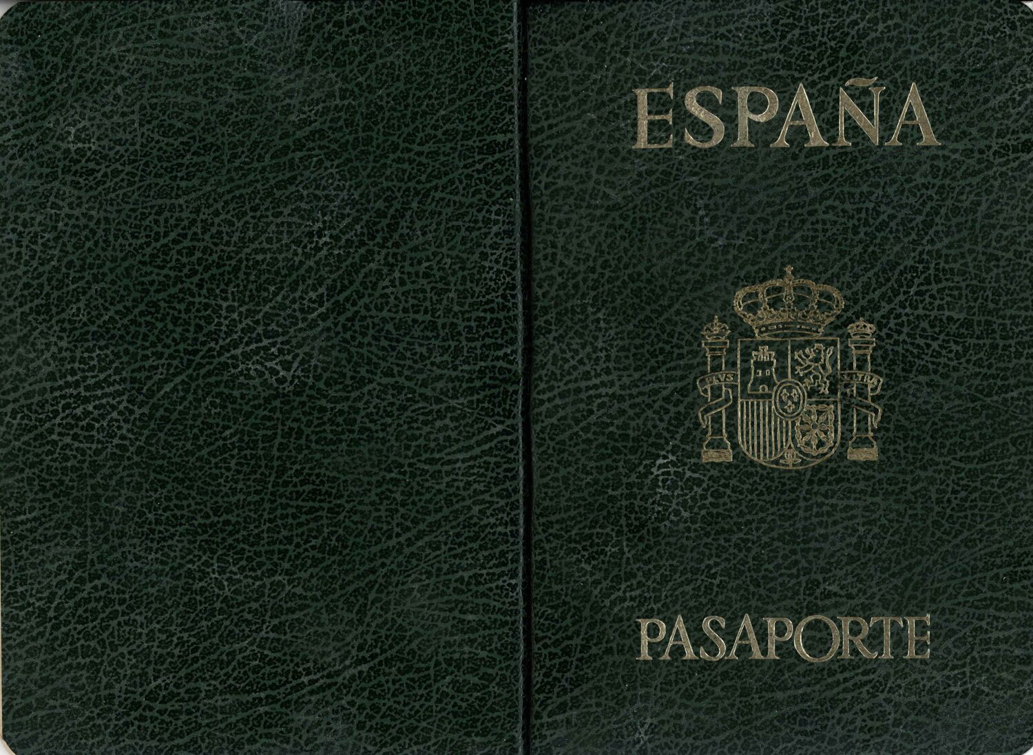 Modelo de pasaporte antiguo (1)