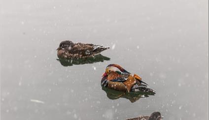 77º BOLETÍN INFORMATIVO DEL CONSULADO GENERAL DE ESPAÑA EN PEKÍN, RP CHINA