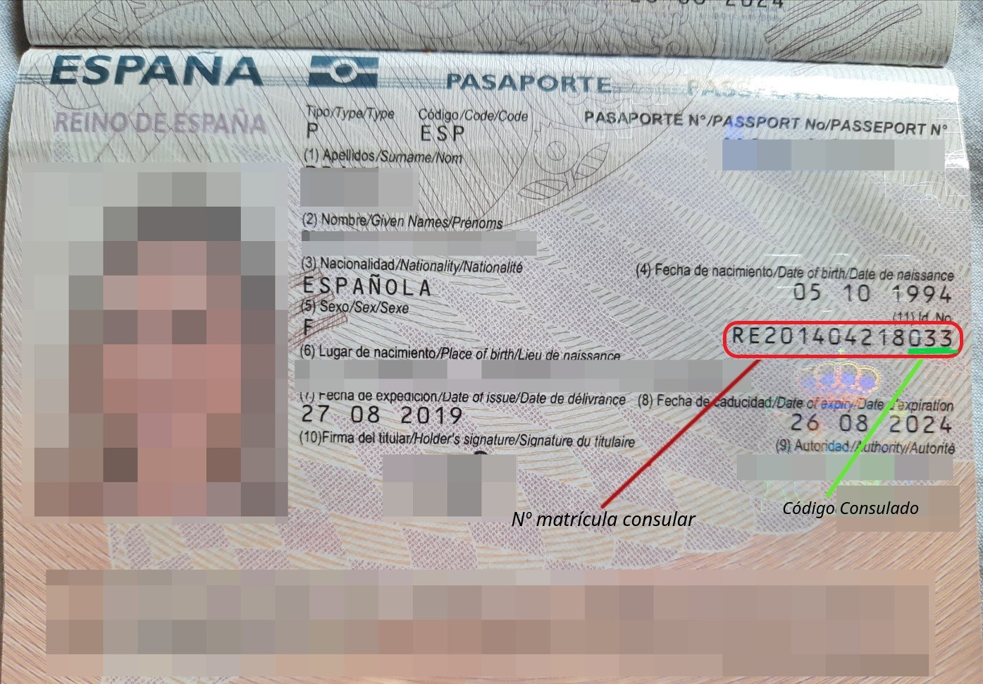 02. Ejemplo Registro Matrícula en Pasaporte.jpg