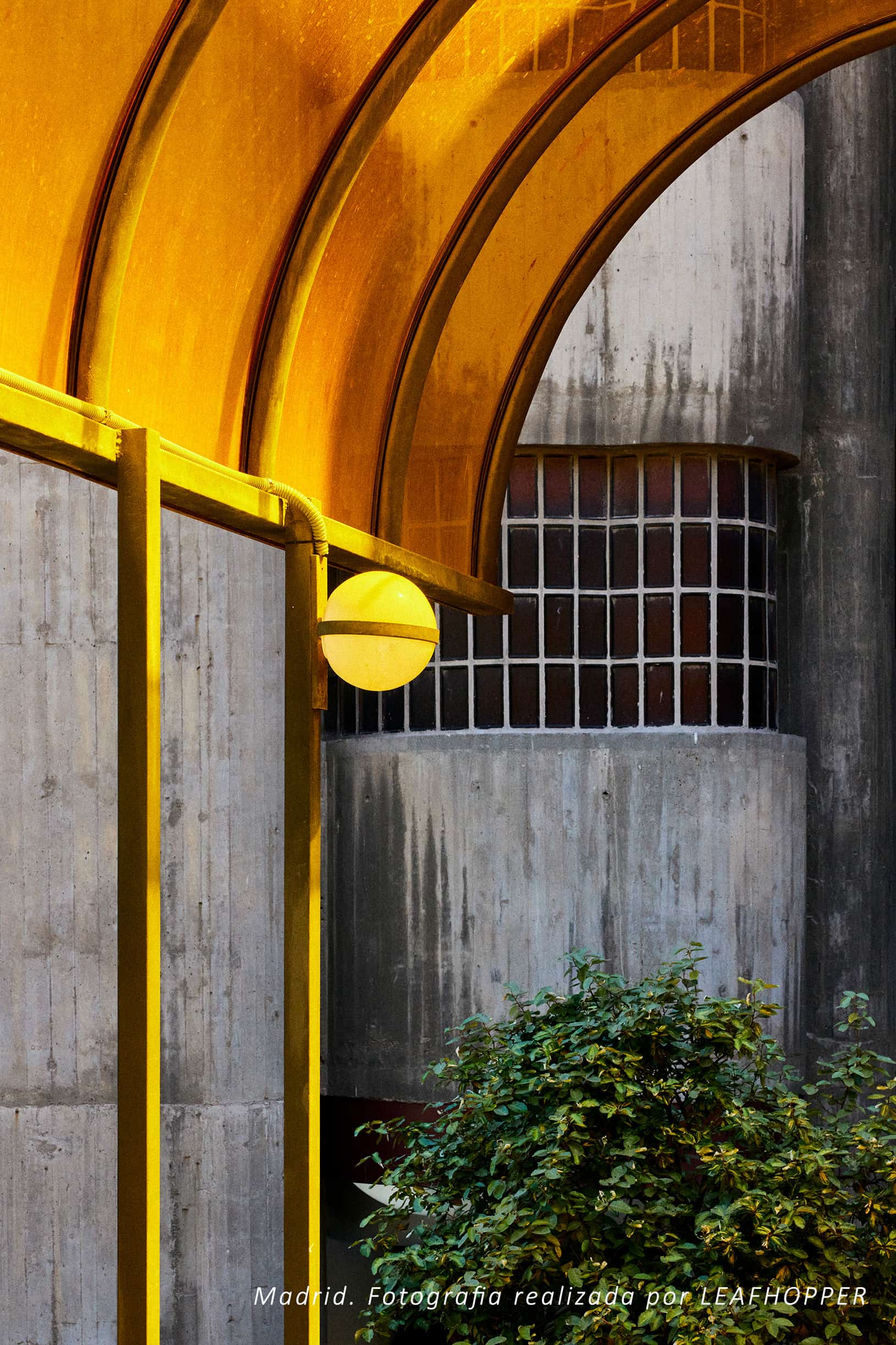 amarillo.jpg