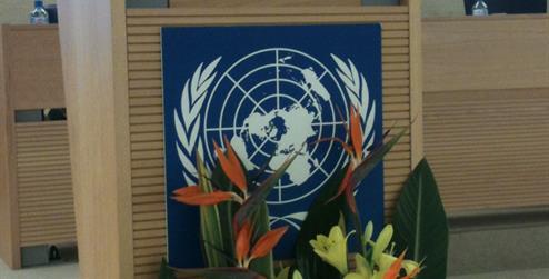 Secretario0 de Estado de Asuntos Exteriores D. Gonzalo de Benito en ONU Ginebra